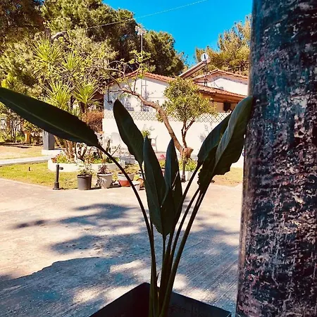 Apartment Poplar Lofts & Karavouzi Prinos (Thasos)